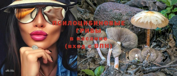 ГАЛЛЮЦИНОГЕННЫЕ ГРИБЫ Верхнеуральск